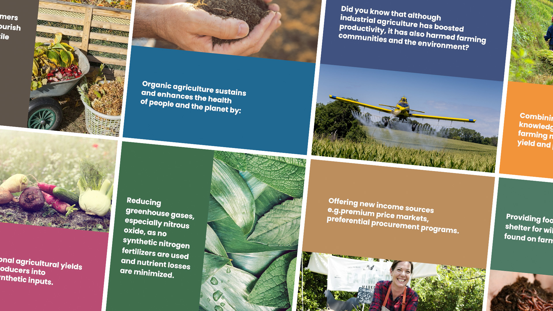 Honest Food - mogrt Templates